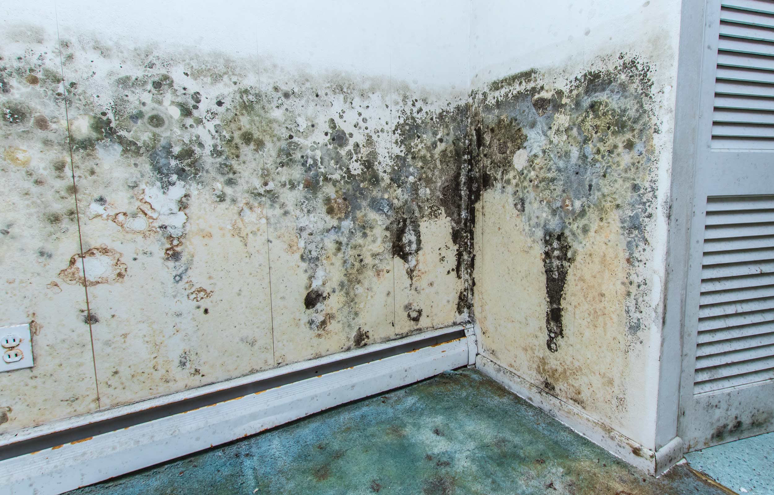 Mold